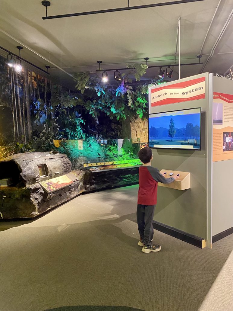 A boy exploring the exhibits at Kentucky Science Center, a fun thing to do with kids in Louisville, KY.