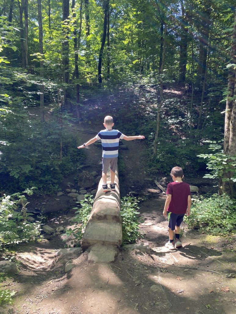 Two boys in the natural play area at the columbus metro park at Blendon Woods.