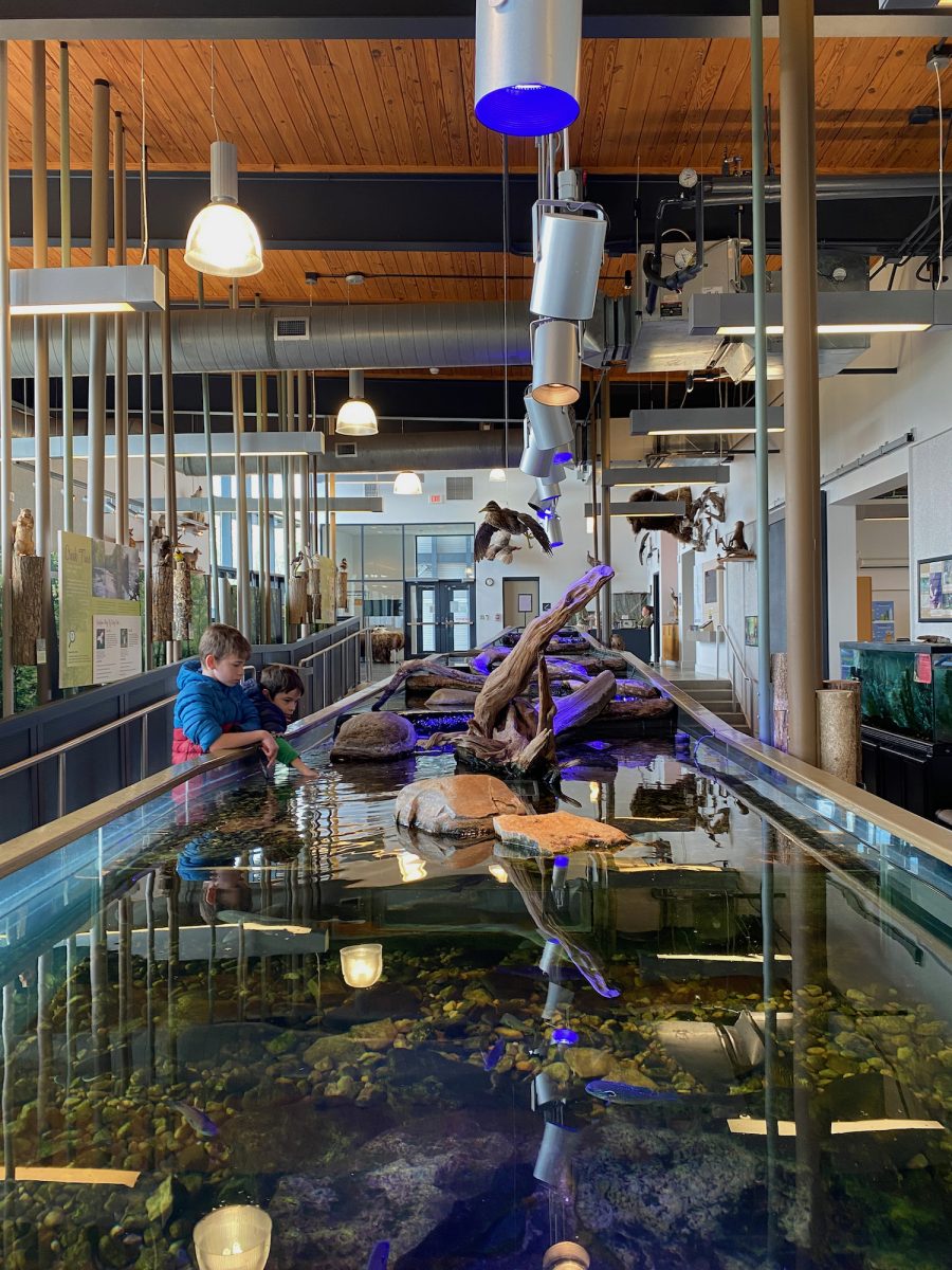 Family Friendly Guide to the Columbus Metro Parks