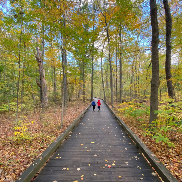Festivals In Columbus Ohio To Attend In 2023 festivals-in-columbus-ohio-to-attend-in-2023