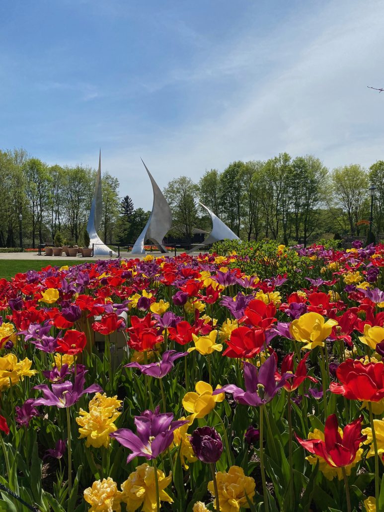 A sculpture behind tulips at Franklin Park Conservatory in Columbus, Ohio.