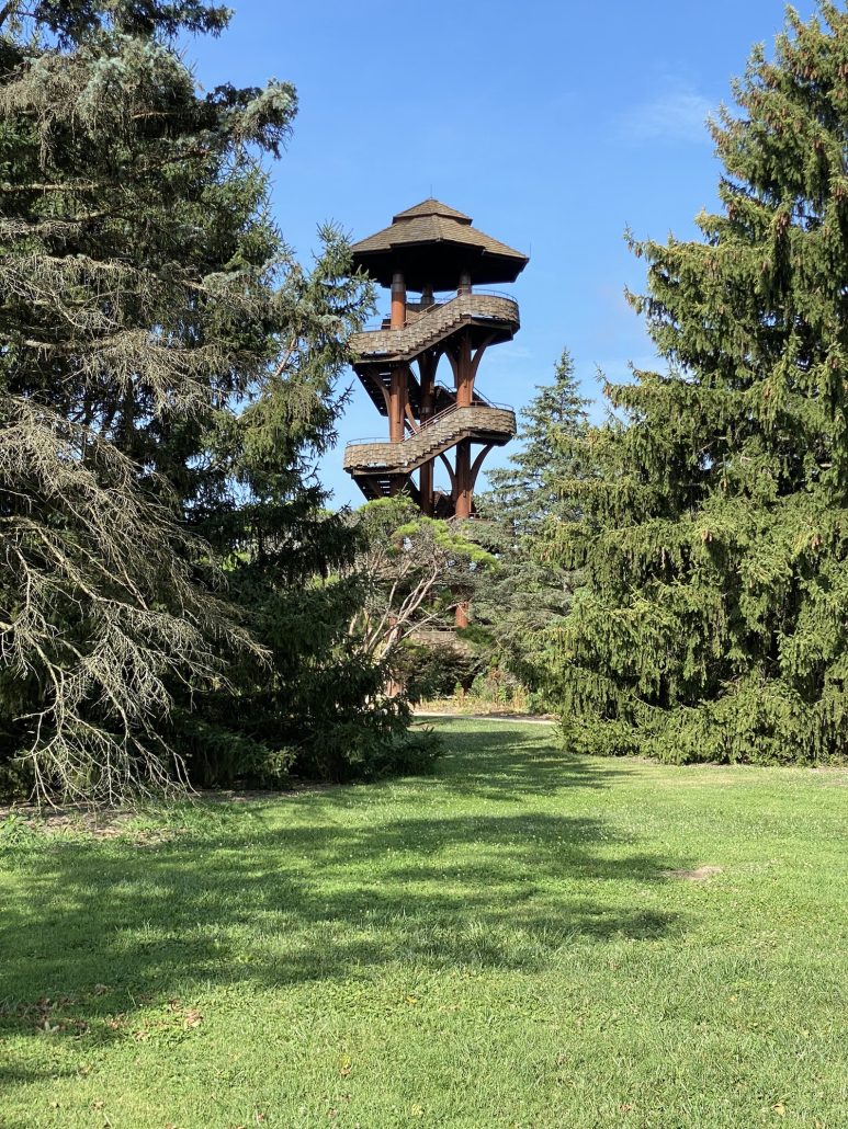 The Tree Tower at Cox Arboretum in Ohio.