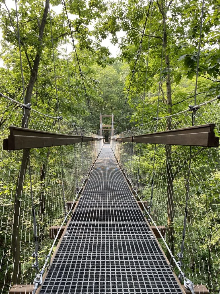 The canopy walk at Holden Arboretum in Ohio.