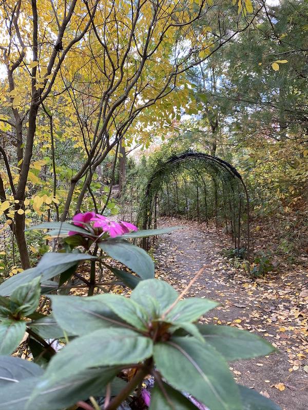 A flower and tunnel walkway at Inniswood Metro Gardens in Columbus, Ohio.