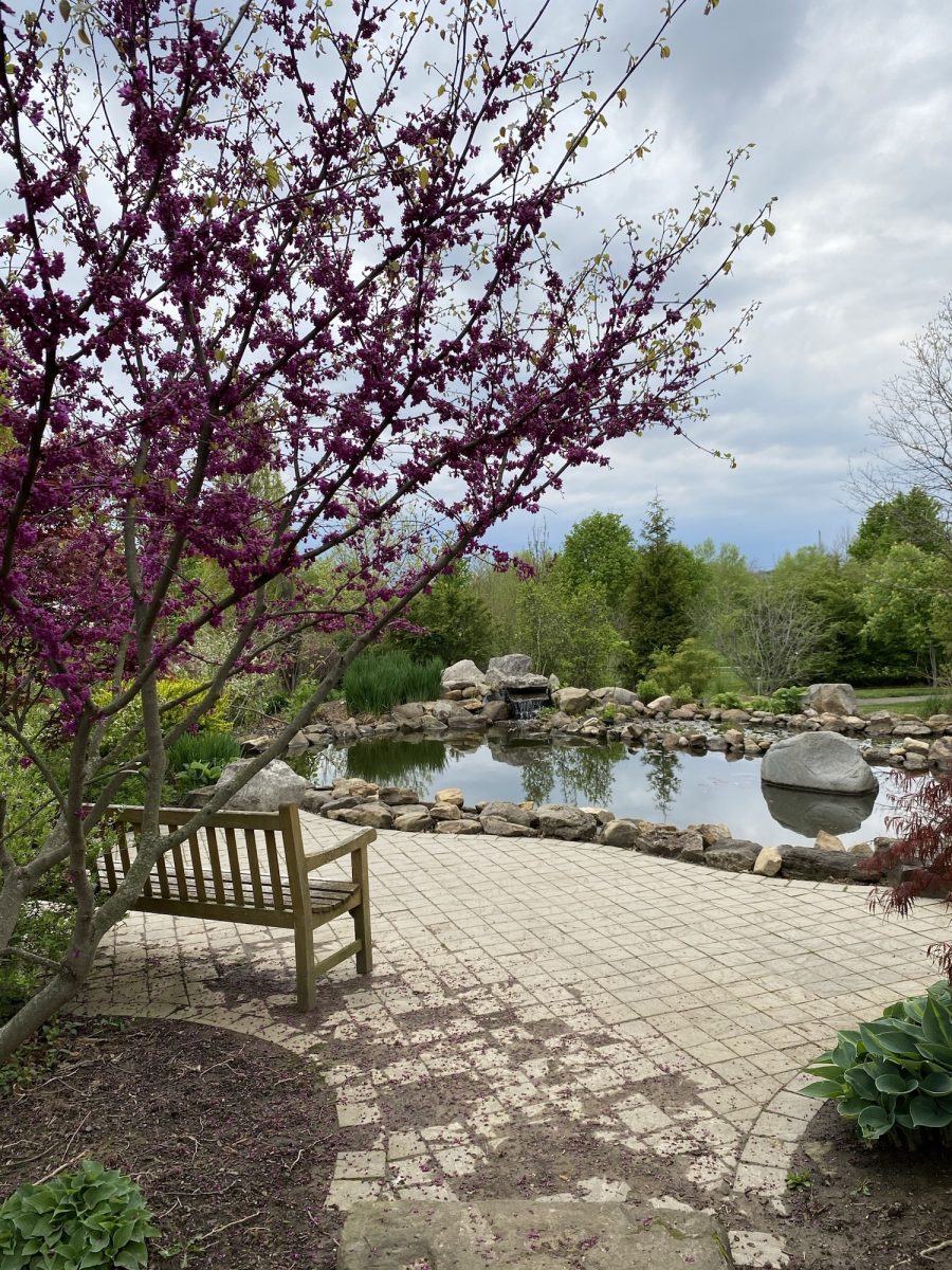 12 Beautiful Botanical Gardens and Arboretums in Ohio (2024)