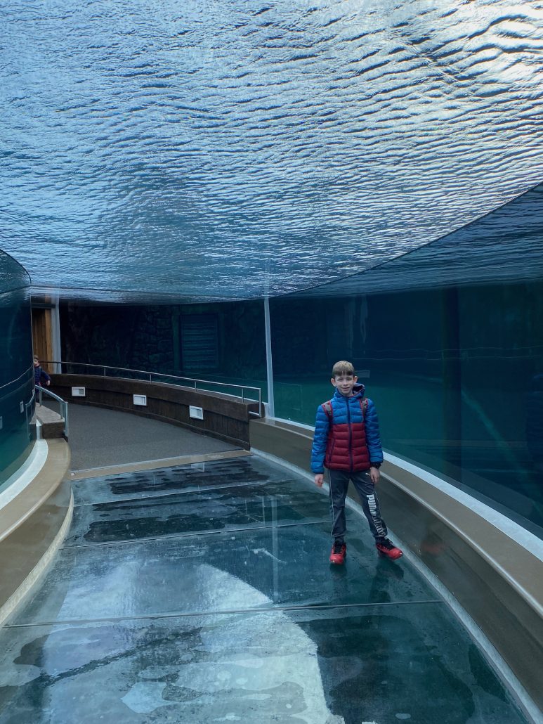 A boy at The Columbus Zoo and Aquarium, a popular thing to do near Dublin, Ohio.