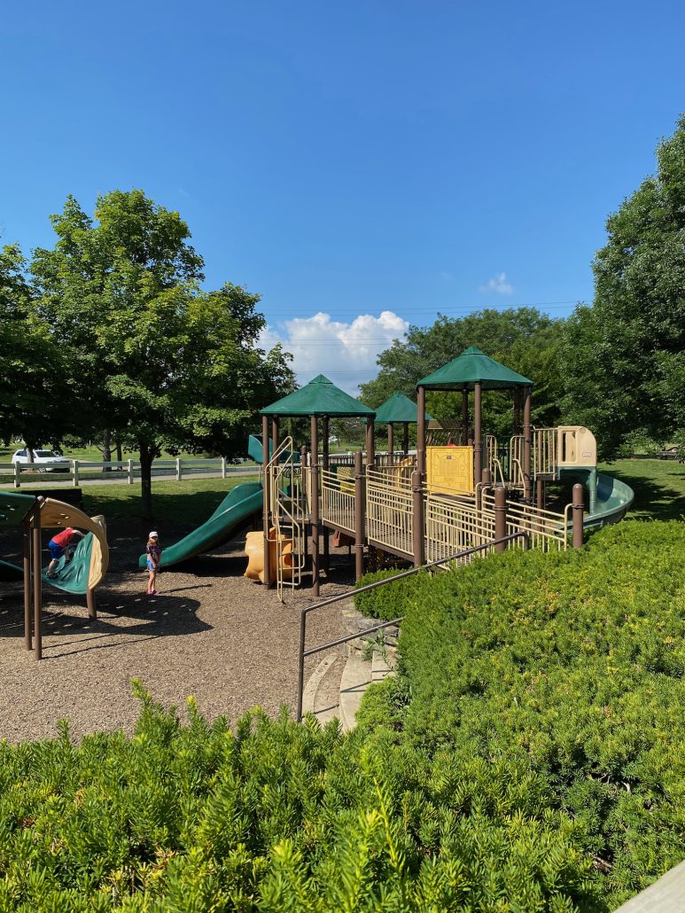 Playground structure at Homestead Metro Park featuring ramps and slides.