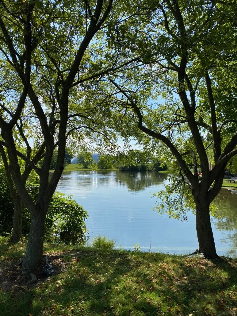 A view of the pond at Homestead Metro Park.