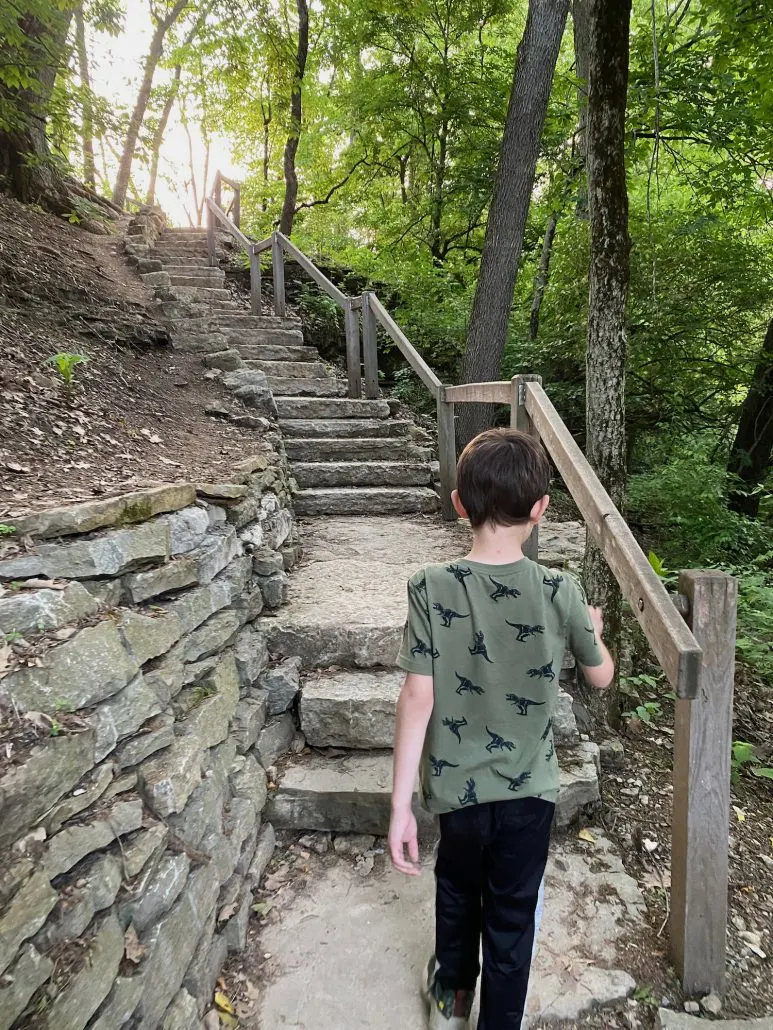 Boy headed up the rock steps at the Millikin Falls Area at Quarry Trails Metro Park.