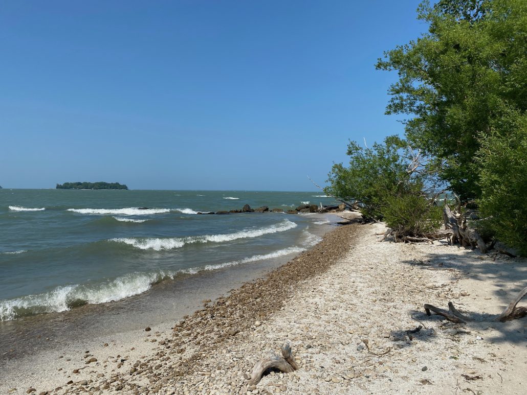 The beach are at Scheef East Point Nature Preserve on Put-in-Bay.