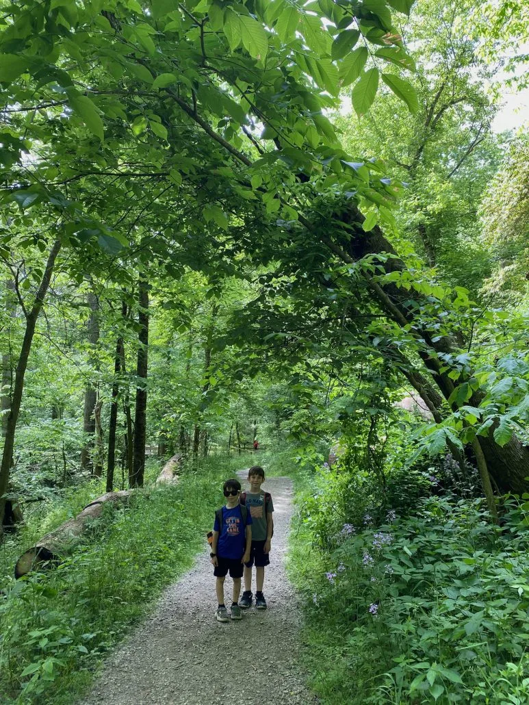Two boys on a hiking trail at Indian Mound Reserve, part of Greene County Parks.