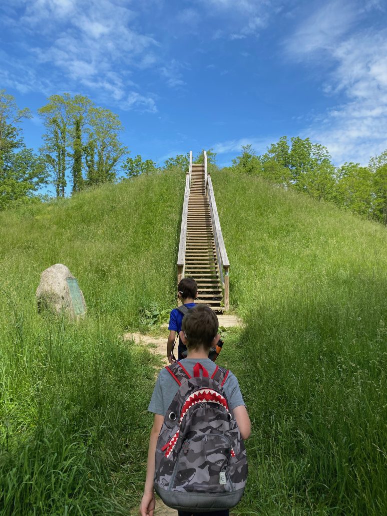 Two boys climbing the steps to the top of Williamson Mound at Indian Mound Reserve.