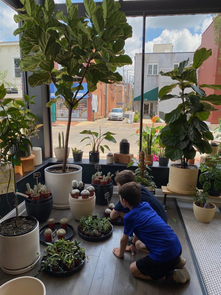 Boys looking at houseplants inside STUMP, a shop in downtown Lancaster, Ohio.