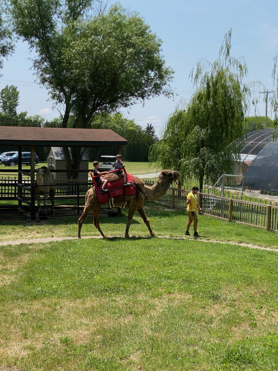 african safari near sandusky ohio