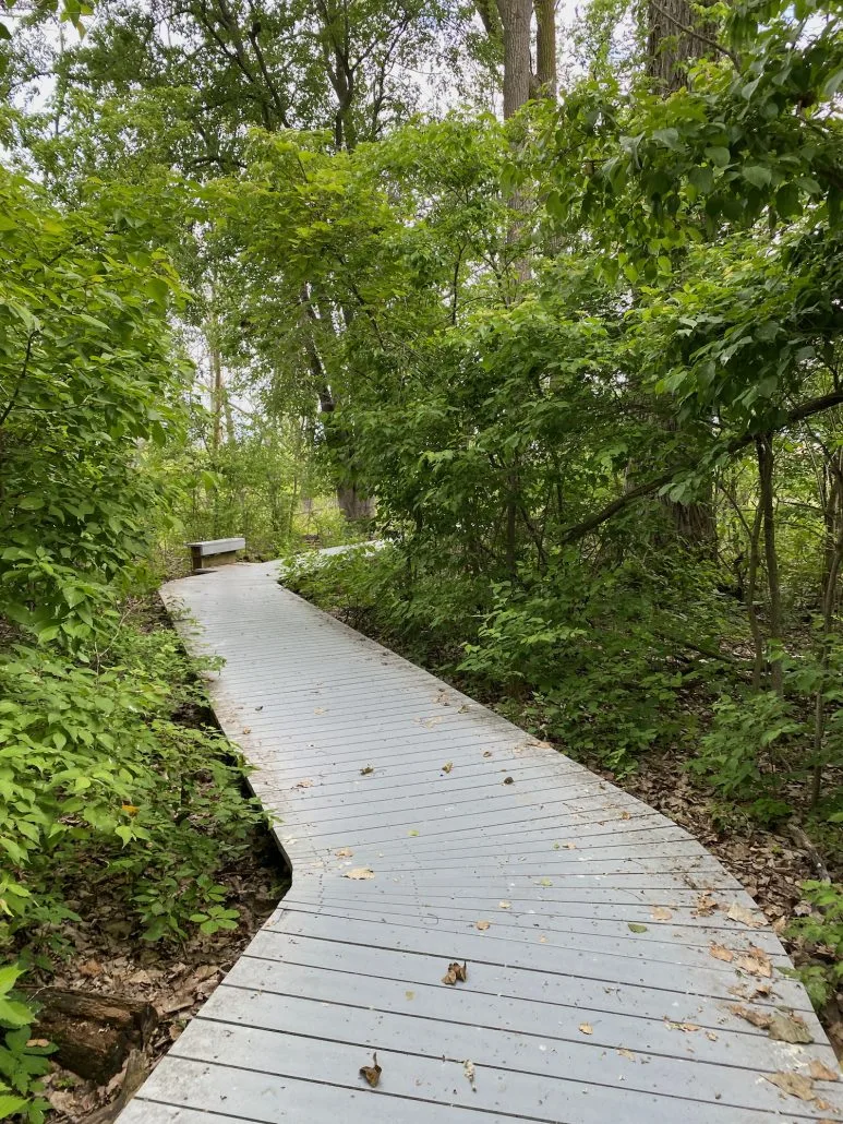 A boardwalk trail at North Pond Nature Preserve.