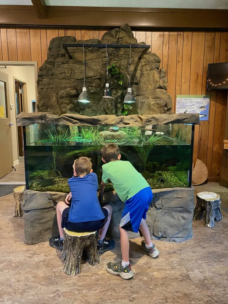 Two boys looking at fish and a turtle at Blacklick Woods Metro Park Nature Center.