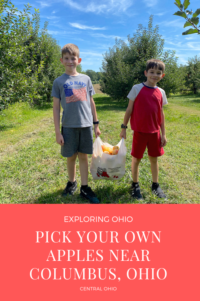 6 Farms Where You Can Pick Your Own Apples Near Columbus, Ohio (2024)