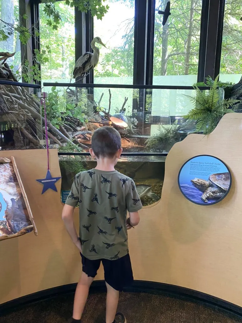 A boy in the Nature Center at Rocky River Reservation.