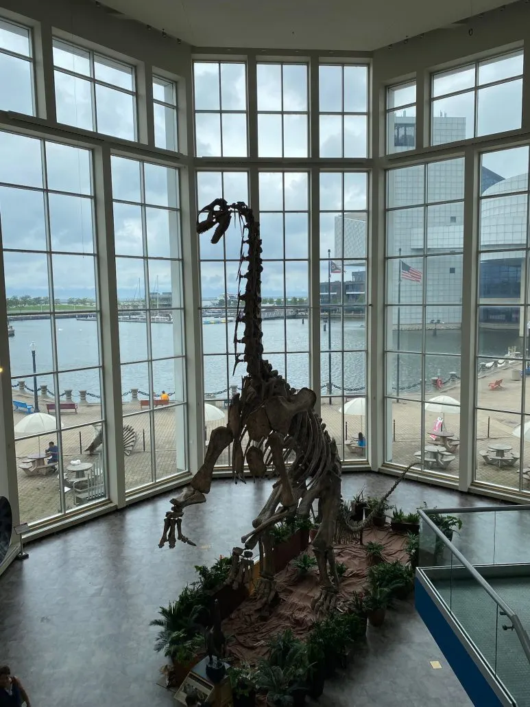 A skeleton of a dinosaur at the Great Lakes Science Center.