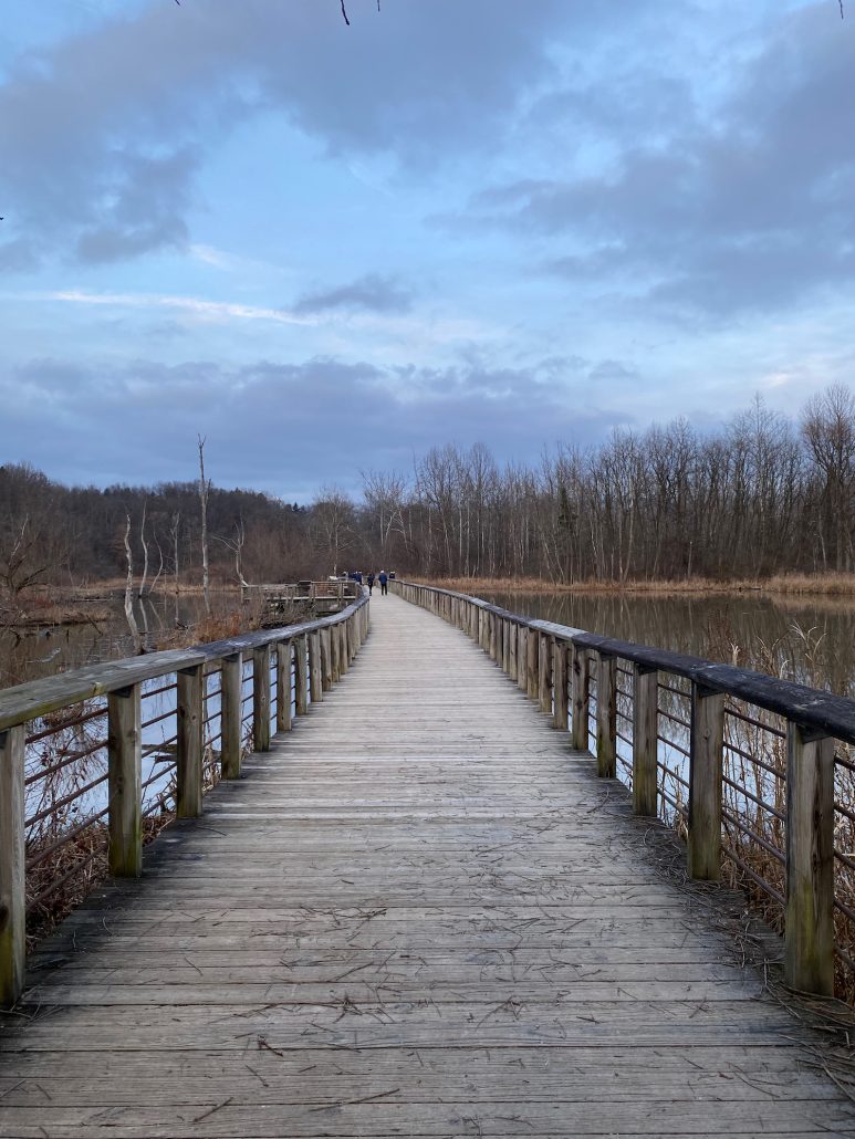 The boardwalk in Beaver Marsh in Cuyahoga Valley National Park.