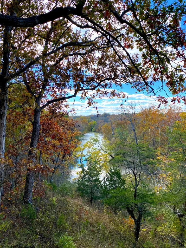 A view of fall foliage from the observation deck at Battelle Darby Creek Metro Park.