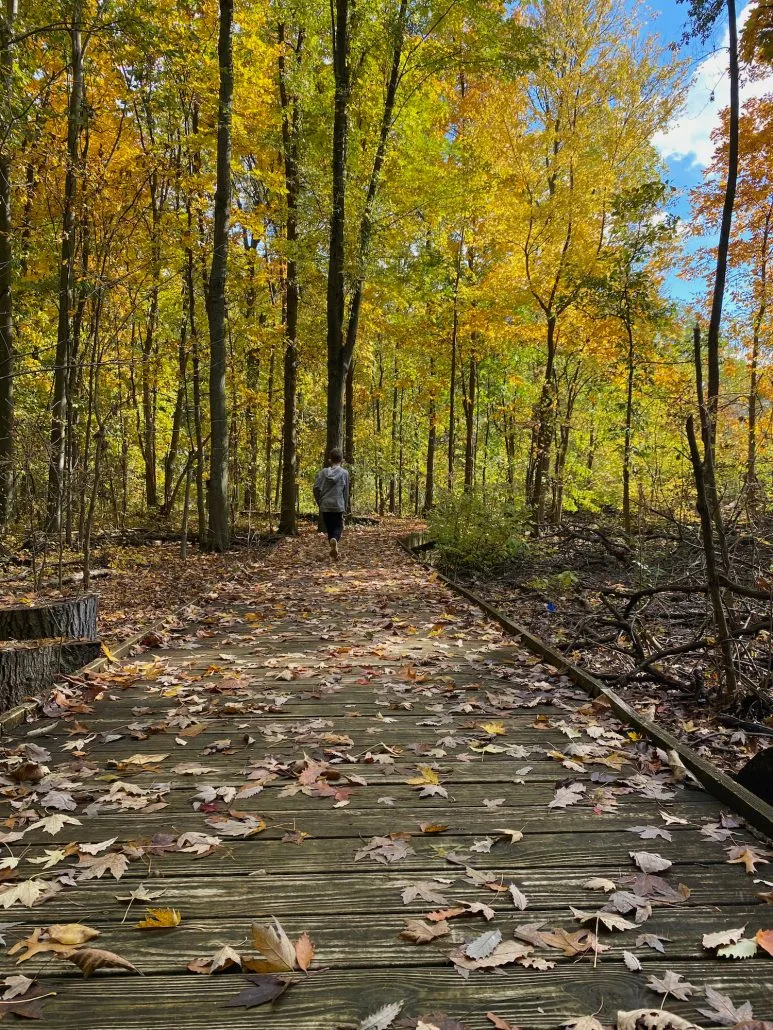 A boy running on a boardwalk path at Sawmill Wetlands in Columbus, Ohio.