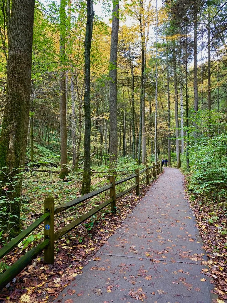 ADA accessible trail at Conkles Hollow State Nature Preserve.