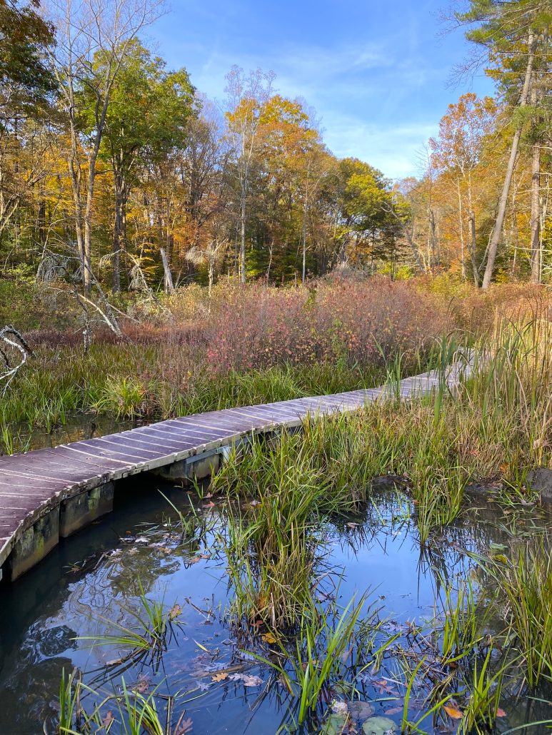 A floating boardwalk path at Wahkeena Nature Preserve in Fairfield County, Ohio.