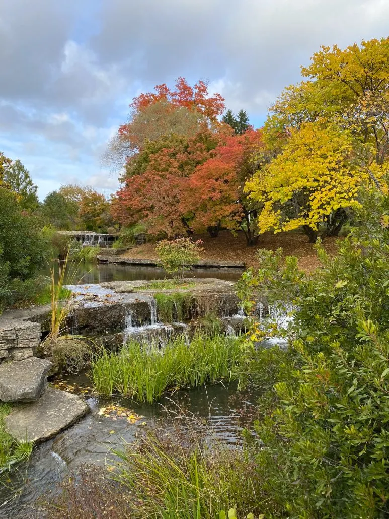 Changing leaves at the Cascades in Franklin Park in Columbus, Ohio.