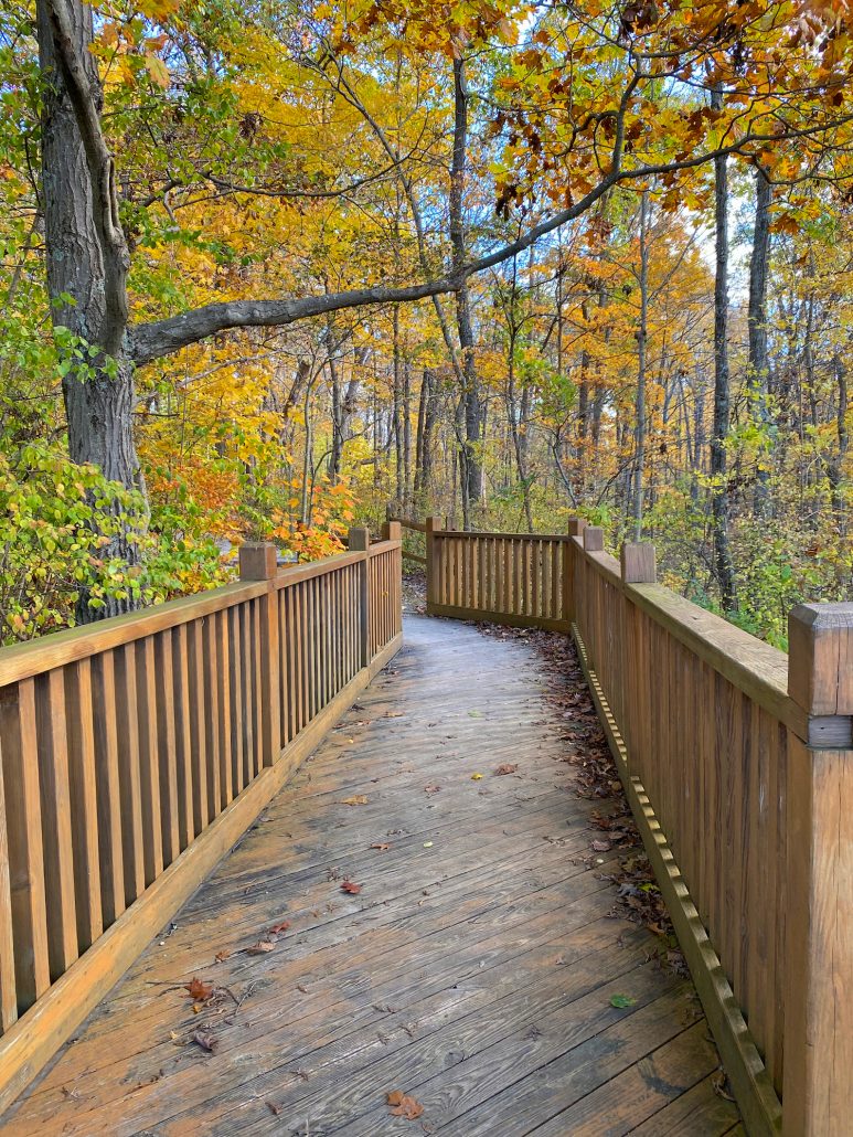 Fall colors along a boardwalk path at Battelle Darby Creek Metro Park near Columbus, Ohio.