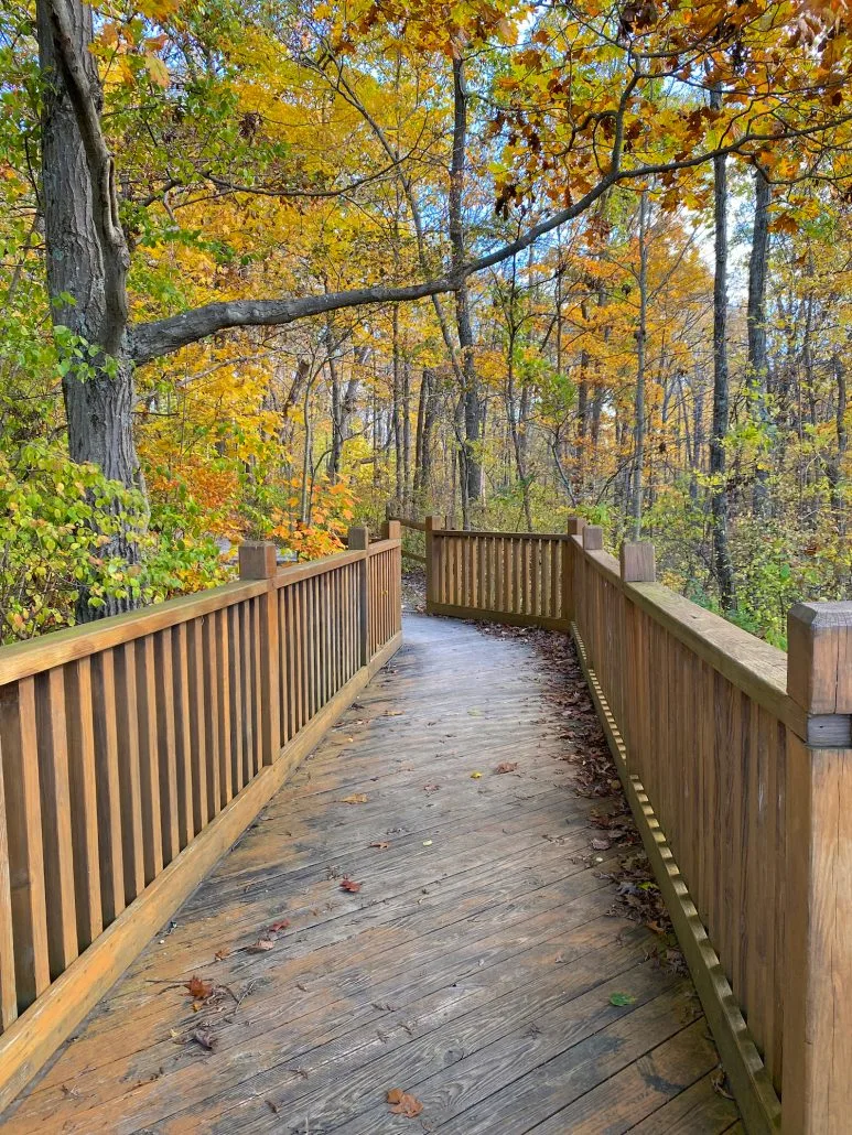 Fall colors along a boardwalk path at Battelle Darby Creek Metro Park near Columbus, Ohio.