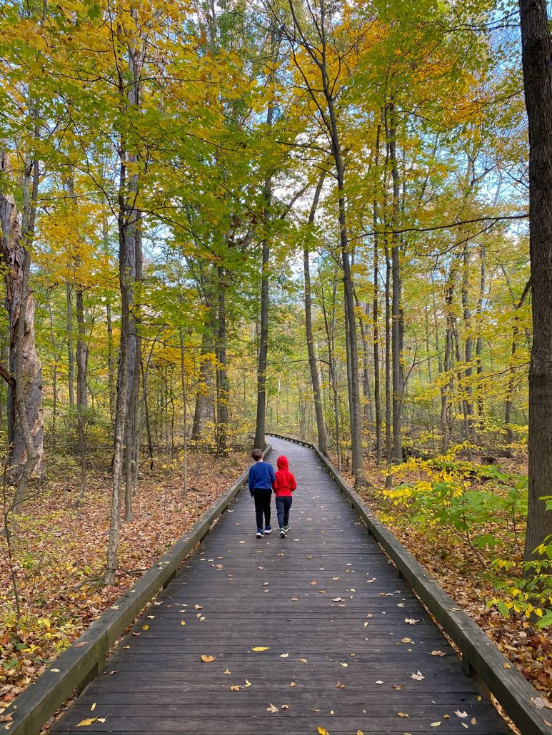 Two boys walking on a boardwalk path at Inniswood Metro Gardens surrounded by fall leaves.