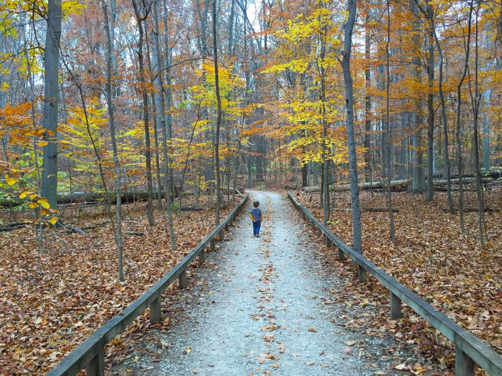 A boy walking on a path at Inniswood Metro Gardens in the fall.