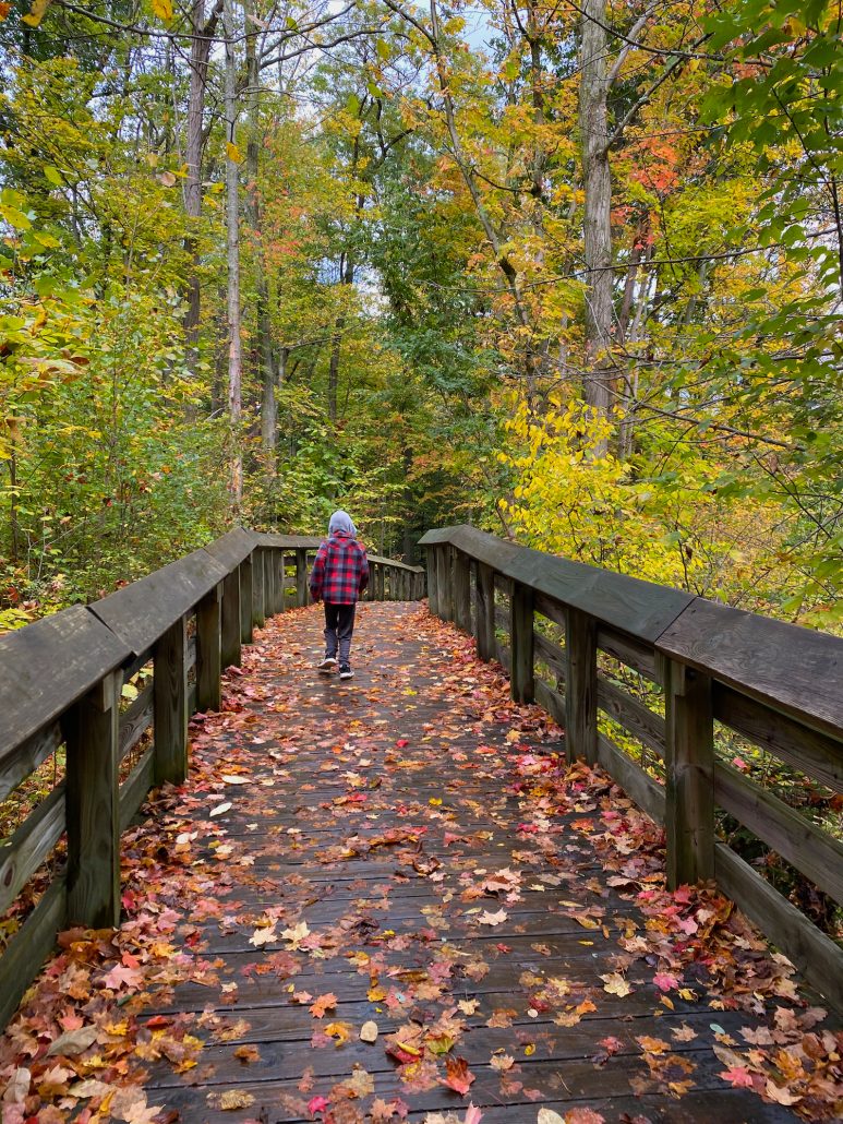 A boy walking on a boardwalk path covered with red leaves at Cuyahoga Valley National Park in Ohio.