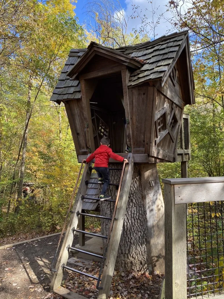 A boy climbing into the treehouse at Inniswood Metro Gardens.