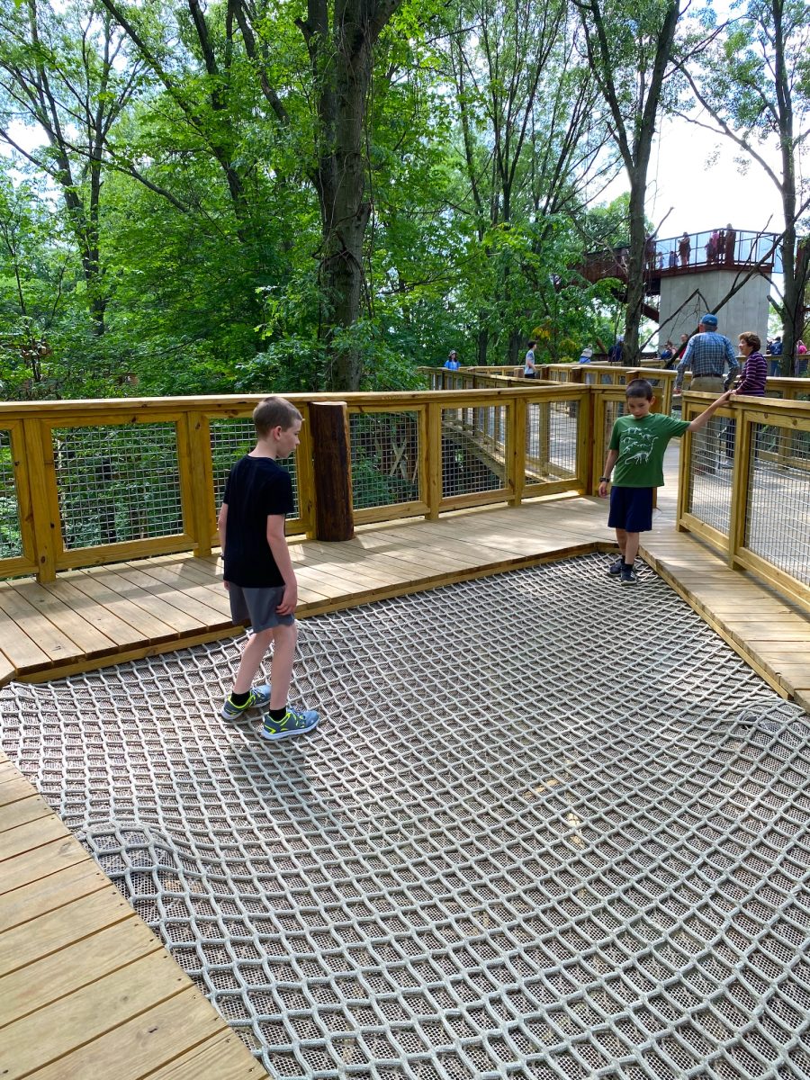 blacklick-woods-canopy-walk-1