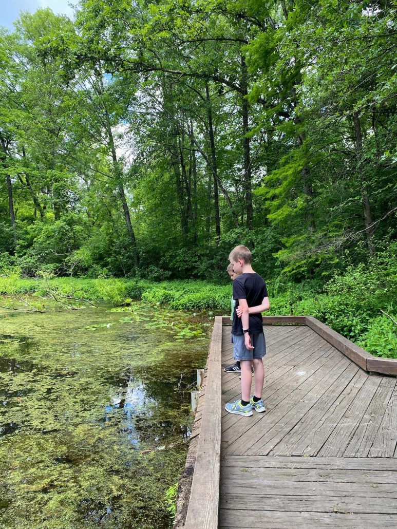 Two boys looking for frogs in Ashton Pond.