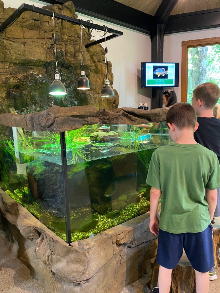 Boys looking at an open water feature inside the Nature Center.