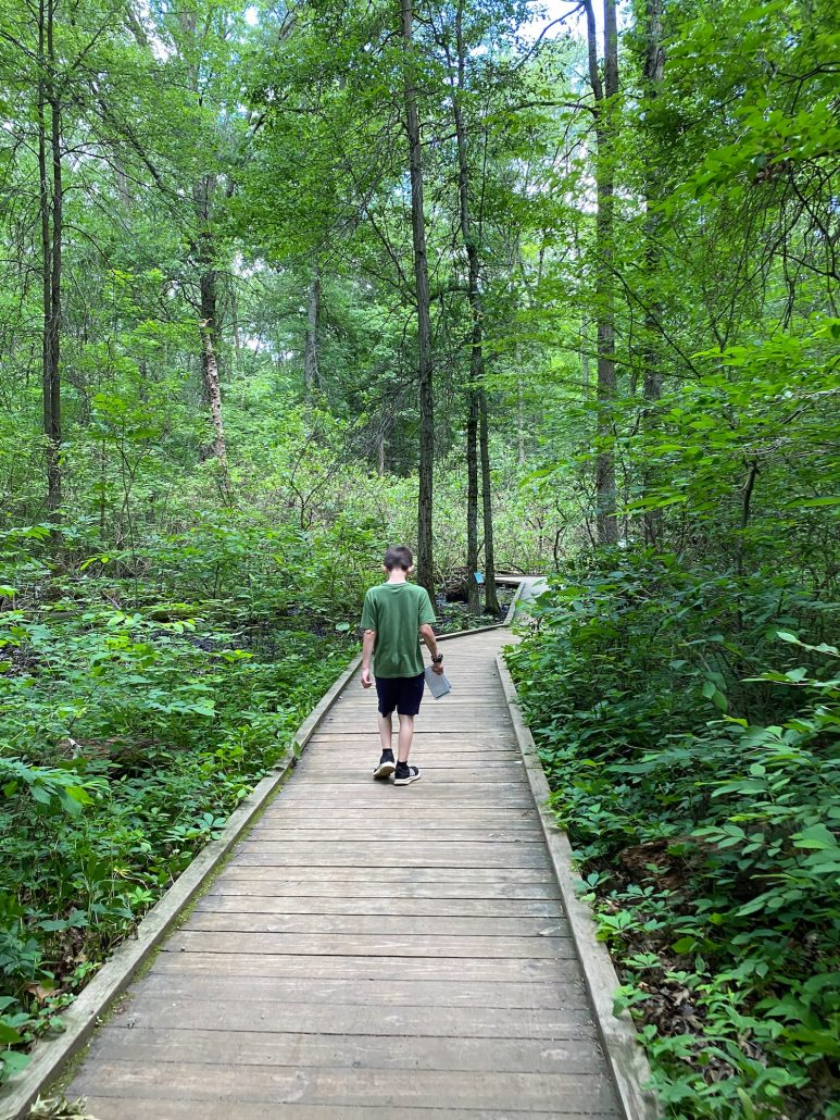 A boy walking on Buttonbush Trail at Blacklick Woods Metro Park.