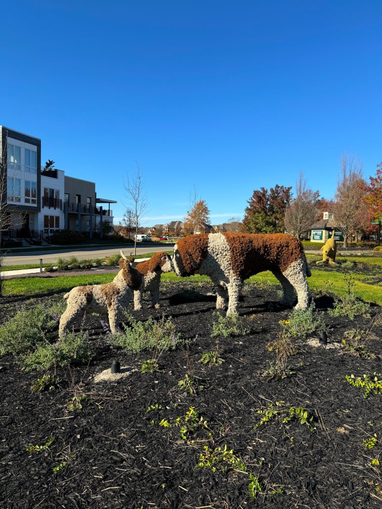 Dog Topiaries in Dublin, Ohio.