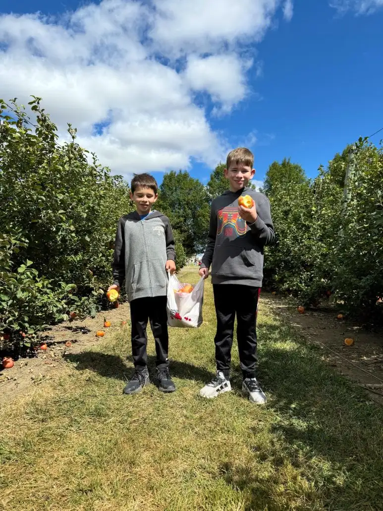 Pick your own apples at one of these 5 farms around Columbus and Central Ohio! Picking apples is a classic fall, family-friendly activity in Central Ohio! Two boys eating apples they picked at Orchard & Co in Plain City, Ohio.