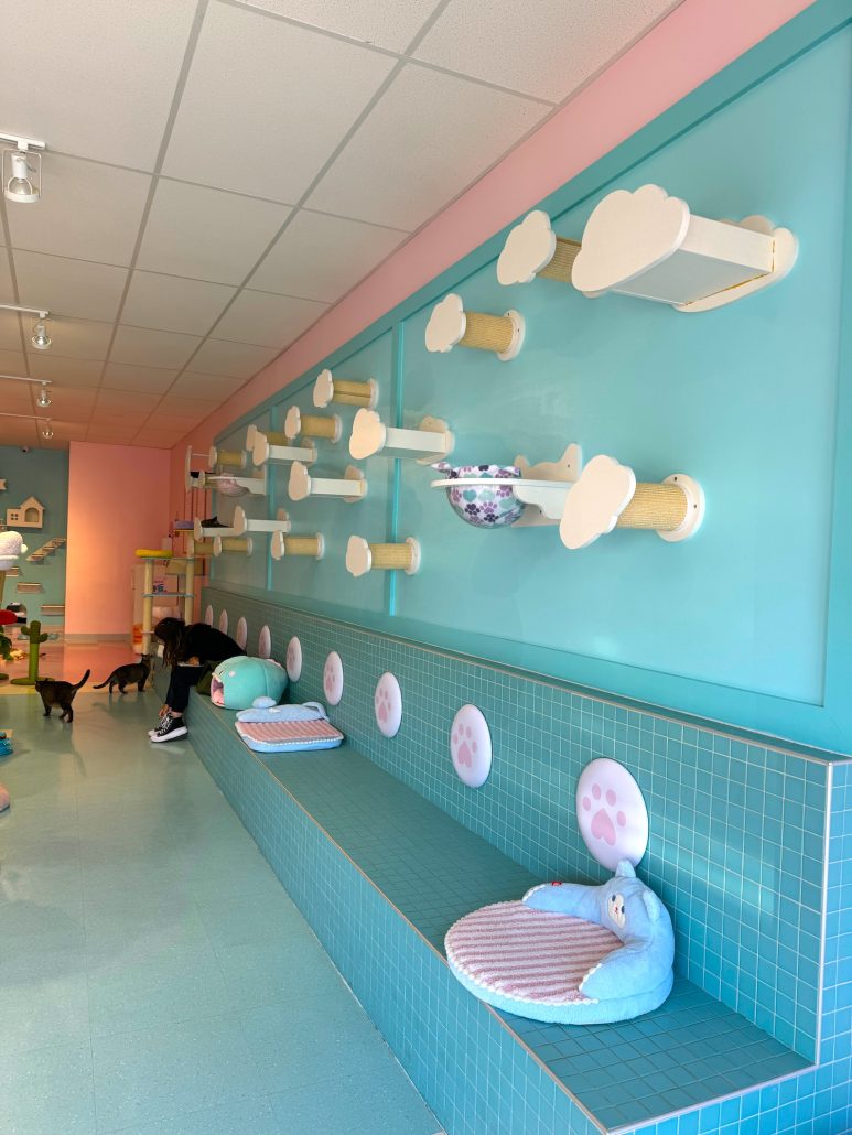 A wall of seating for humans and cats at the cat cafe.