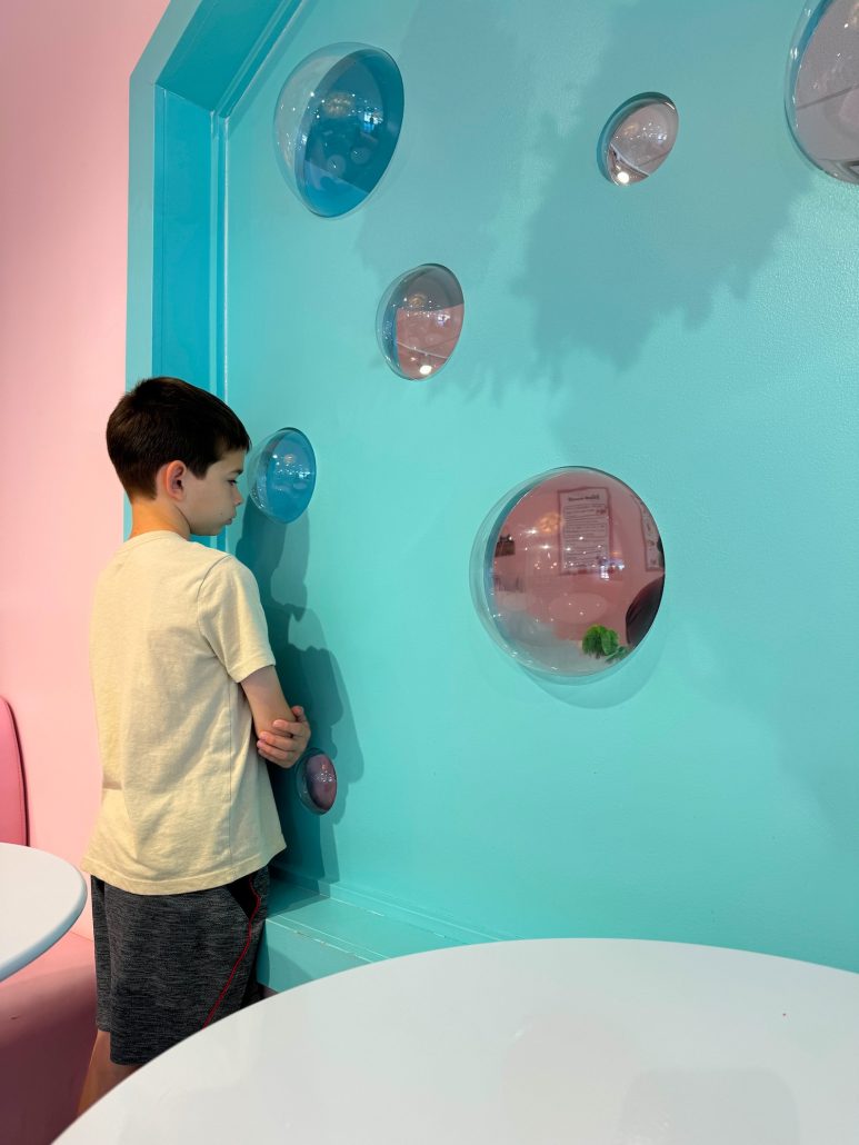 A boy looking at cats through bubble windows at the cafe.