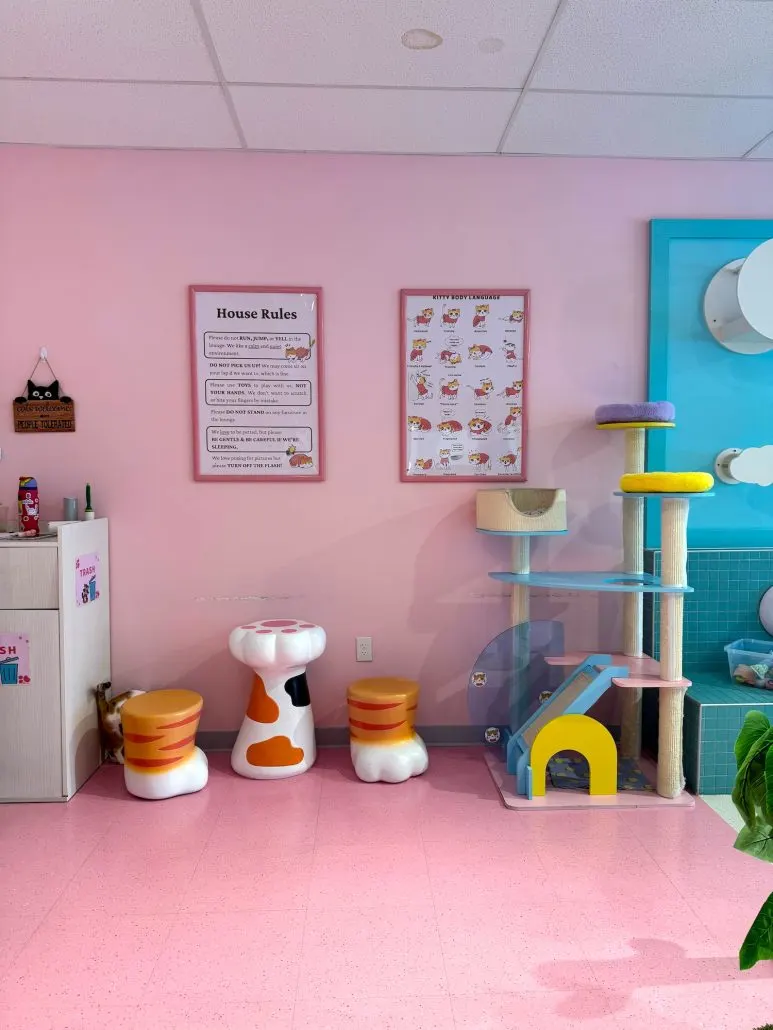 Cat toys and seating inside the Cat Lounge.