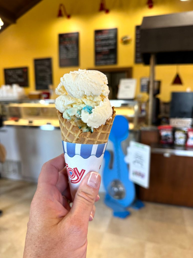 An ice cream cone from The Cheese House.