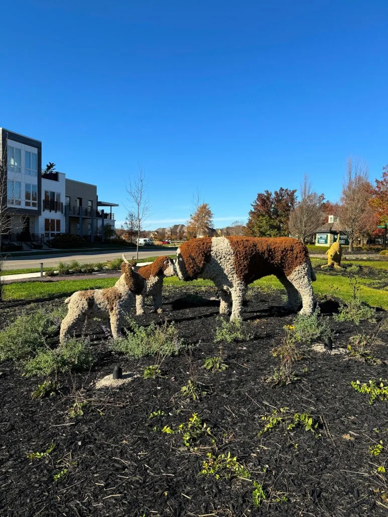 Three dog topiaries.