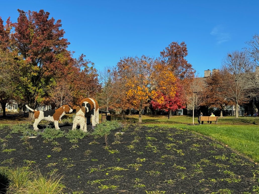 Three dog topiary statues in the middle of a park in Dublin, Ohio.