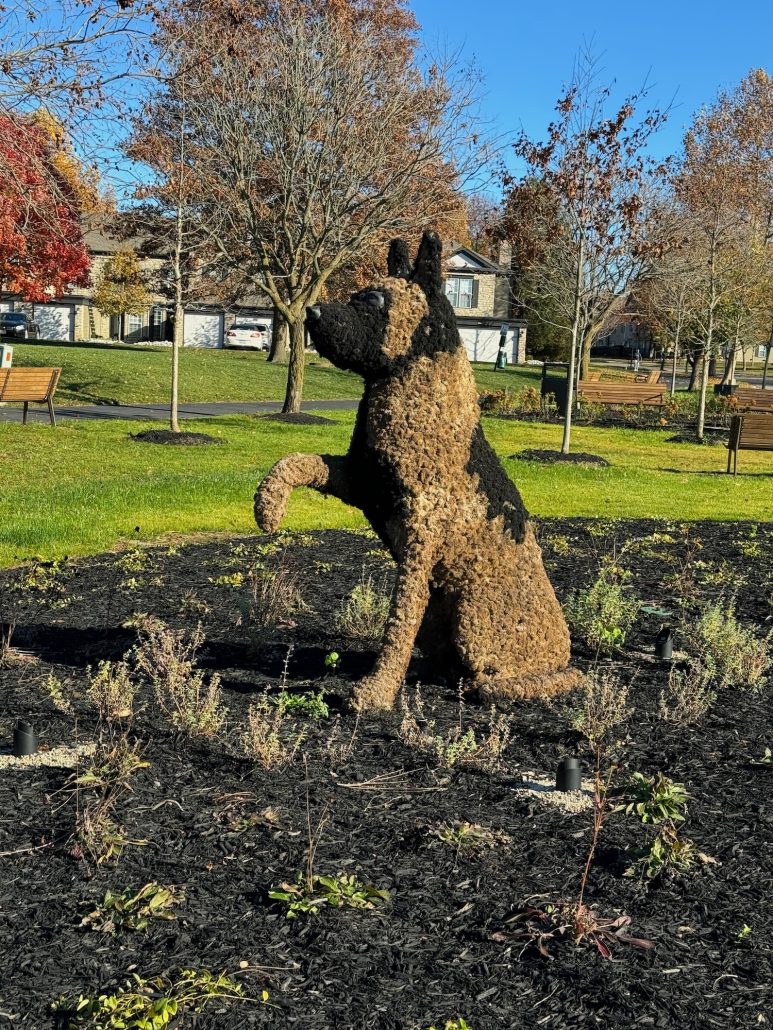 A side view of a dog topiary.