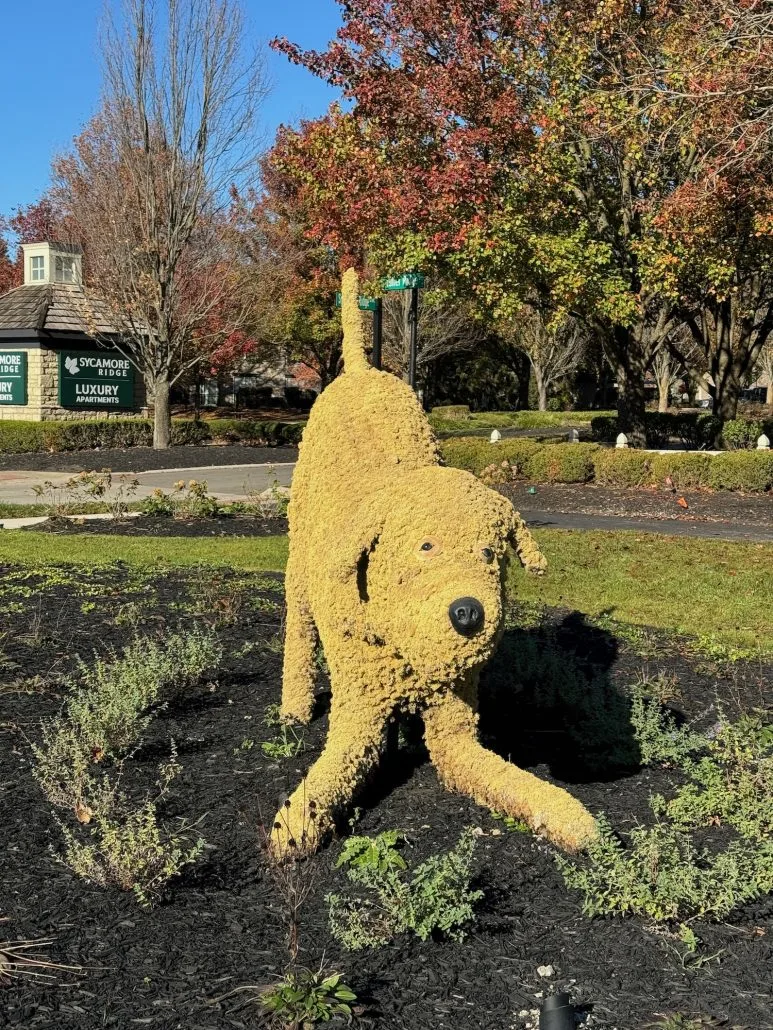 A dog topiary sculpture in Dublin, Ohio.