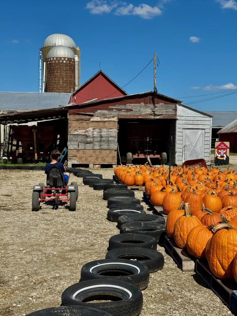 Fall is so fun! Here's a list of area pumpkin patches in Columbus, Ohio! Choose one of these pumpkin farms or farm markets to squeeze out every last drop of this glorious season in Columbus and Central Ohio! This is your ultimate list for pumpkin picking, hay rides, barn activities and more in Columbus and Central Ohio! Boy on a pedal bike at the MAiZE at Little Darby Creek, a pumpkin Farm in Central Ohio.